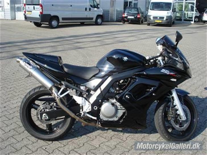 Suzuki SV 650 s   "solgt" billede 1