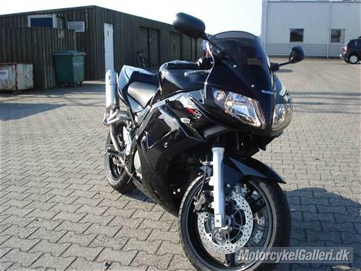 Suzuki SV 650 s   "solgt" billede 4