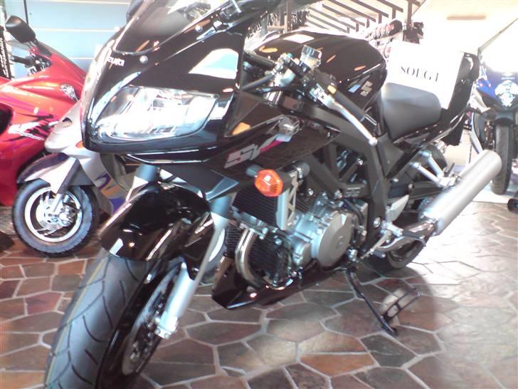 Suzuki Sv 1000S - dagen jeg købte den billede 1