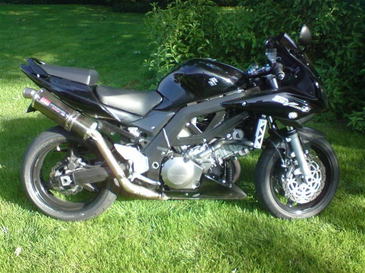 Suzuki Sv 1000S billede 3