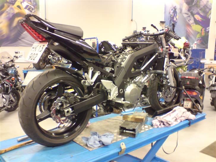 Suzuki Sv 1000S billede 5