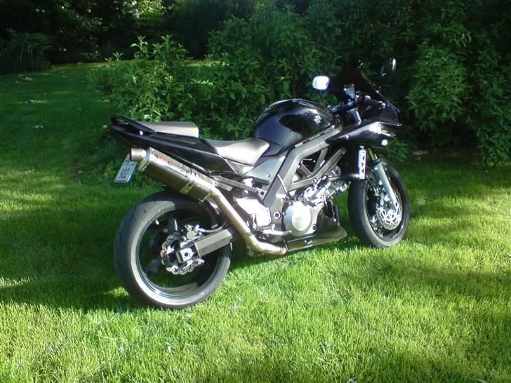 Suzuki Sv 1000S billede 6