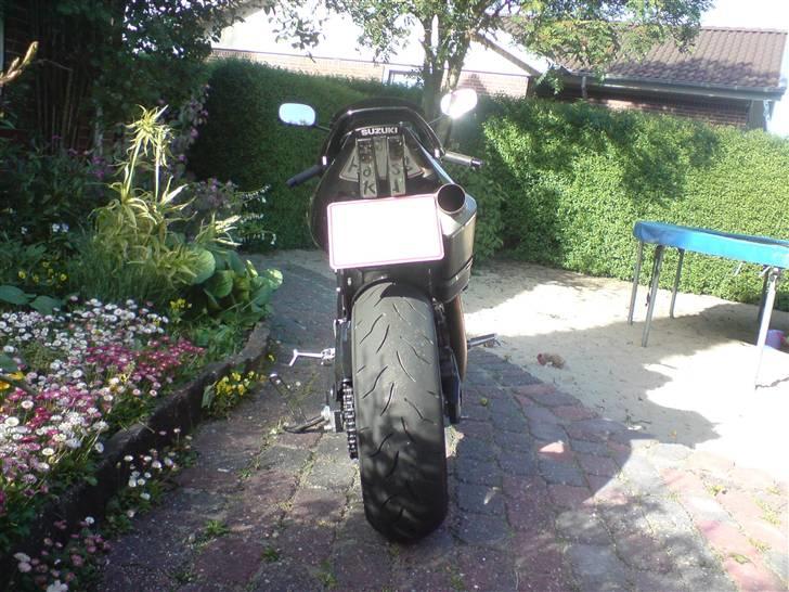 Suzuki Sv 1000S billede 8