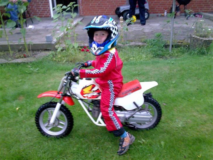 Honda cbr 1000 f   - junior har også fået honda billede 4