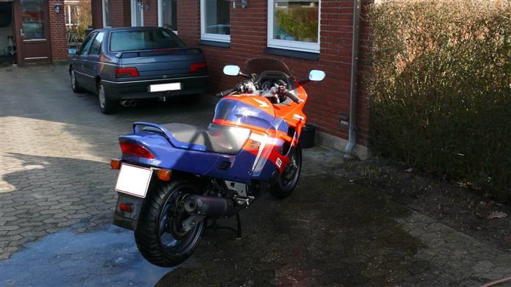 Honda CBR 1000F - Forårs rengøring billede 12