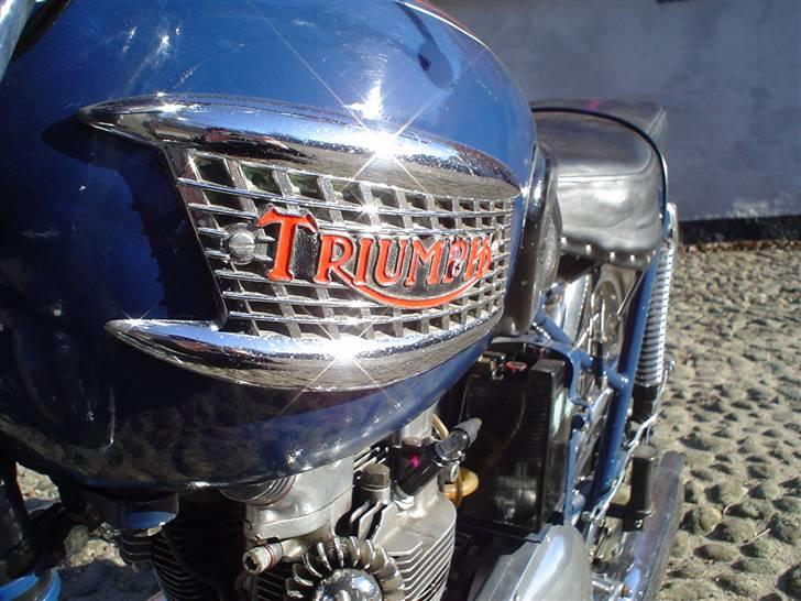 Triumph Tiger 100 billede 5