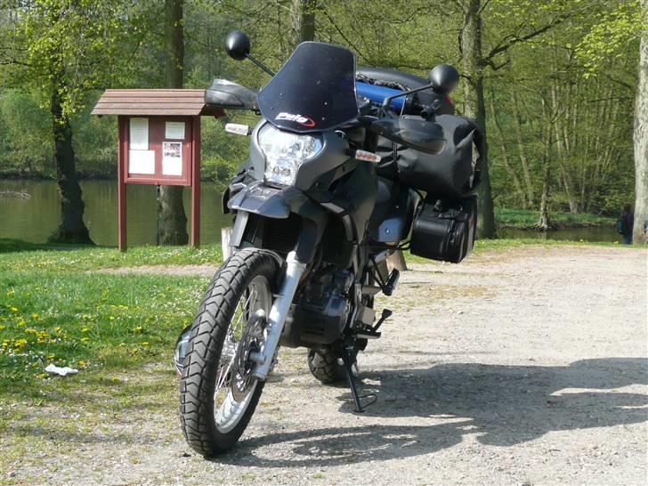 Aprilia Pegaso Trail billede 3