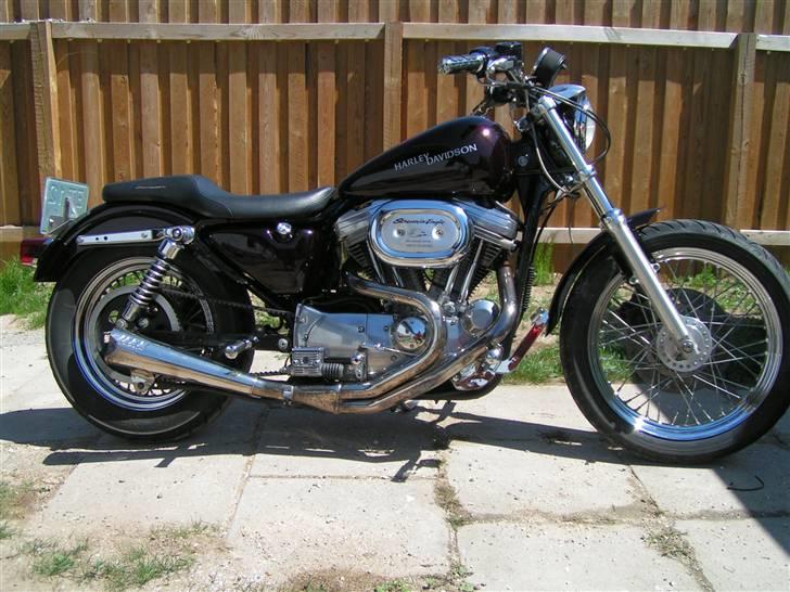 Harley Davidson Sportster 883 billede 1