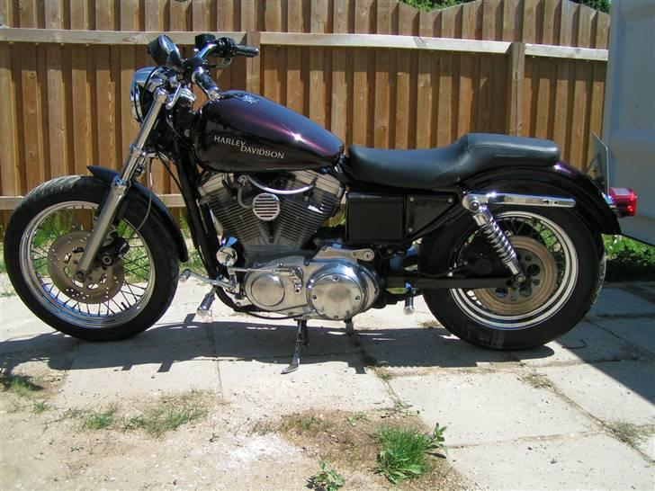 Harley Davidson Sportster 883 billede 2