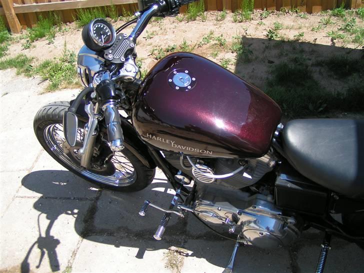 Harley Davidson Sportster 883 billede 3