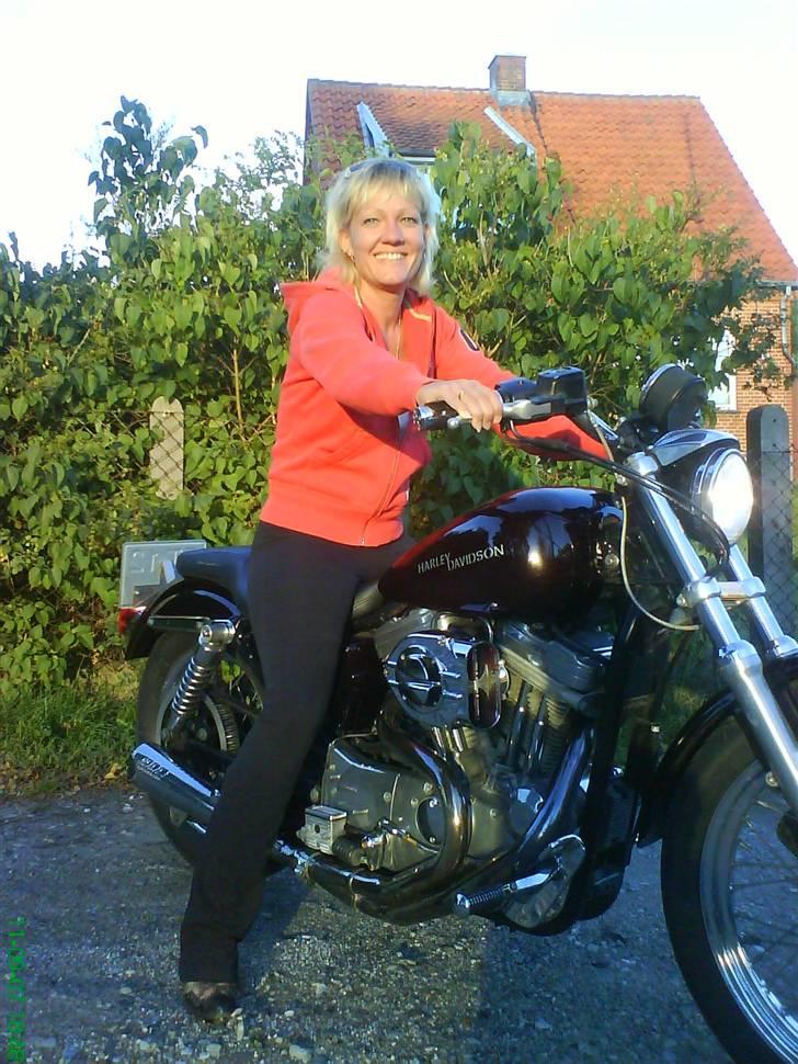 Harley Davidson Sportster 883 billede 5