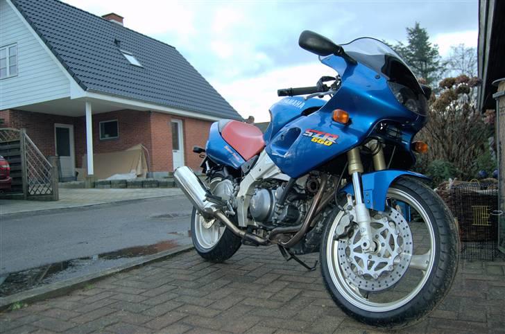 Yamaha SZR 660 billede 2