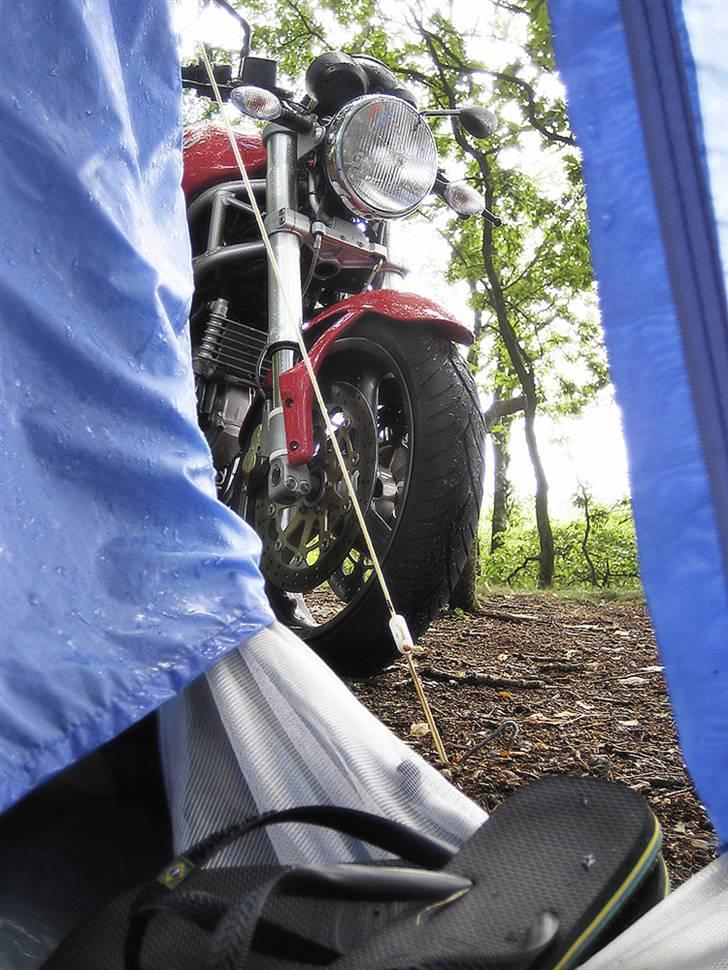 Ducati Monster 800 i.e. billede 15