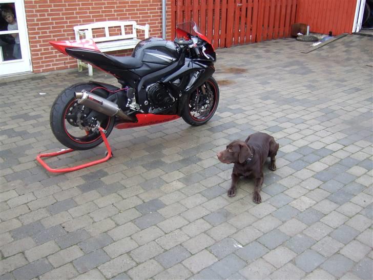 Suzuki gsxr 750 k7  billede 2