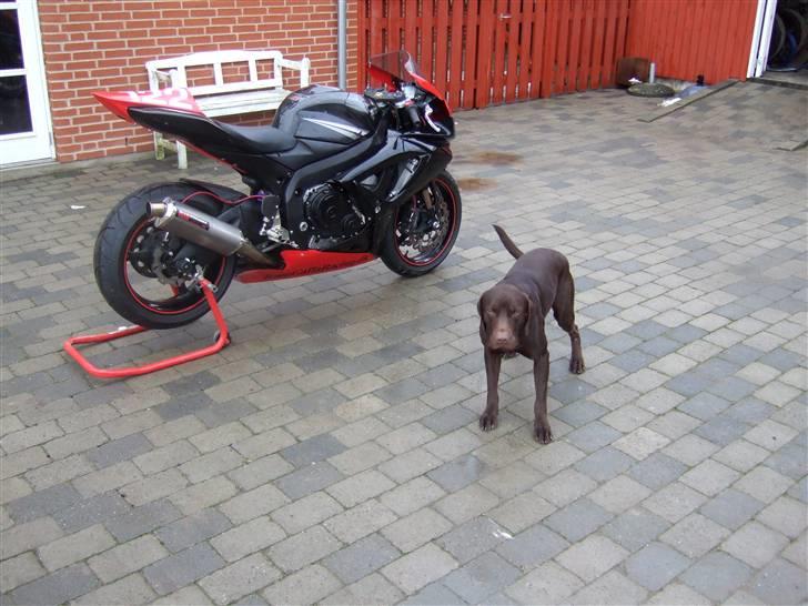 Suzuki gsxr 750 k7  billede 3