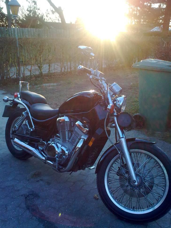 Suzuki intruder billede 2