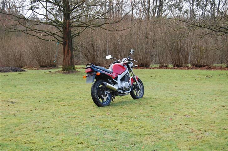 Suzuki GS 500 E billede 4