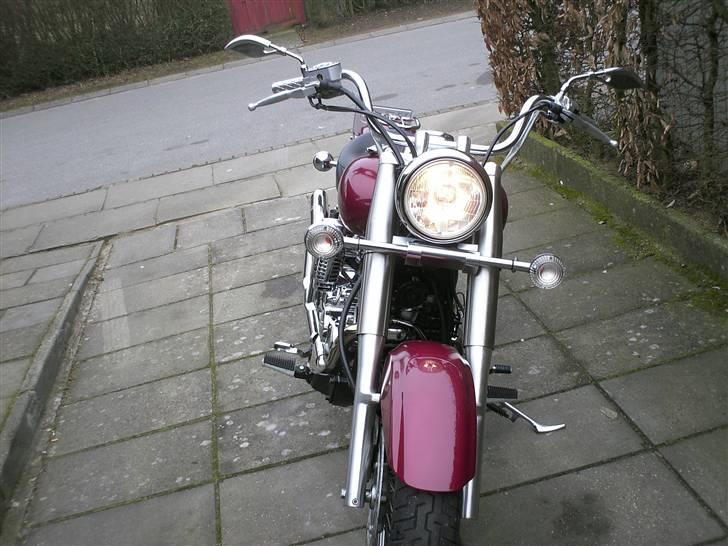 Yamaha xvs 650 drag star SOLGT billede 7