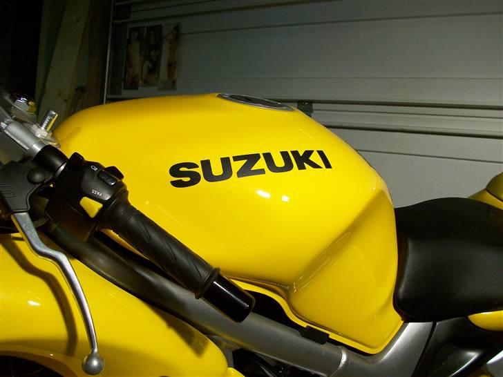 Suzuki SV 650 S billede 12