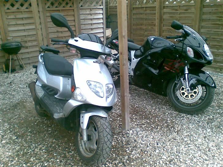 PGO t-rex solgt - og det andet legetøj  billede 6