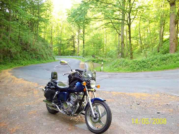 Regal Raptor 250E ( Solgt marts 09 ) - Harzen billede 1