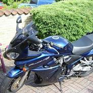 Suzuki Bandit