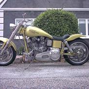 Harley Davidson custom 