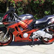 Honda CBR 600 F3 "SOLGT"