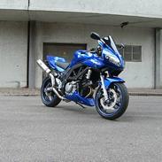 Suzuki SV650 ( Skødstrup )