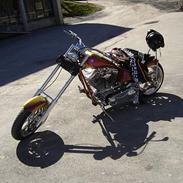 Harley Davidson Custom Rev-Tech SOLGT