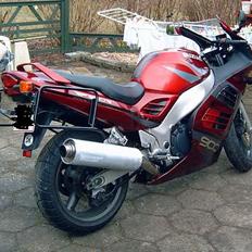 Suzuki RF 900 (Ringsted)