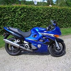 Suzuki GSX 600F