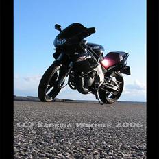 Yamaha BELGARDA SZR 660