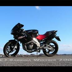 Yamaha BELGARDA SZR 660