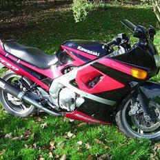 Kawasaki zzr 600 