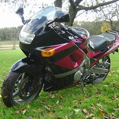 Kawasaki zzr 600 