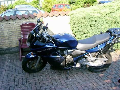 Suzuki Bandit billede 5