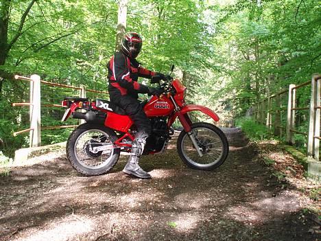 Honda XL 600 R billede 6