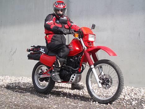 Honda XL 600 R billede 8