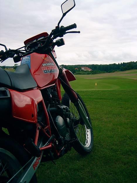 Honda XL 600 R - På golfbanen billede 9