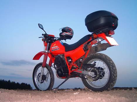 Honda XL 600 R - Over stok og sten billede 10