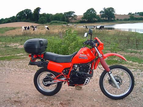 Honda XL 600 R billede 13