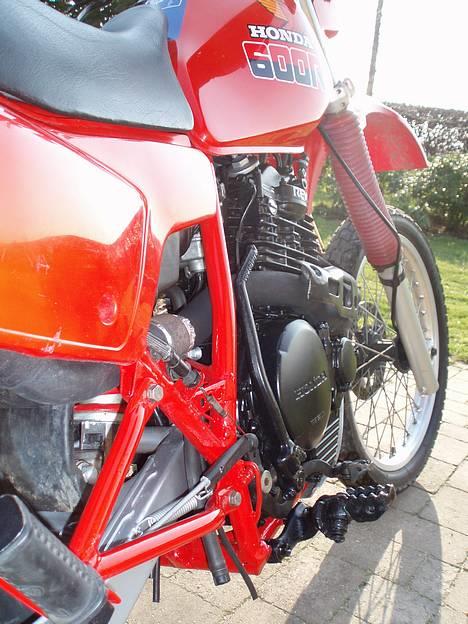 Honda XL 600 R billede 14