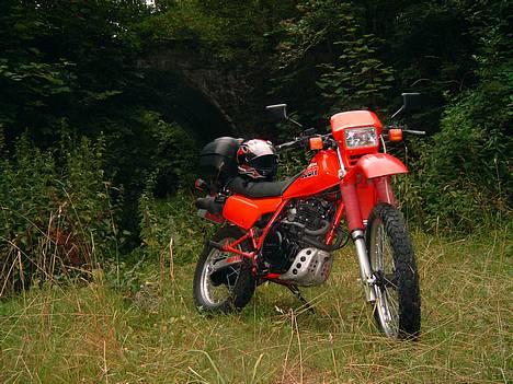 Honda XL 600 R billede 16