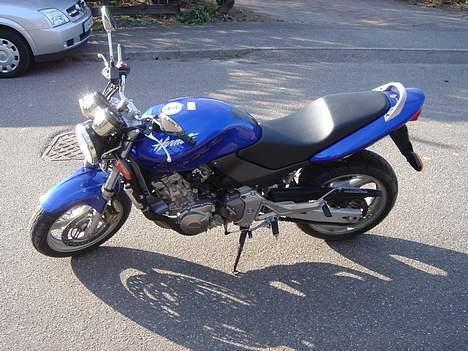 Honda CB 600 F Hornet [SOLGT] - Her er den så - min Hornet :o) billede 1