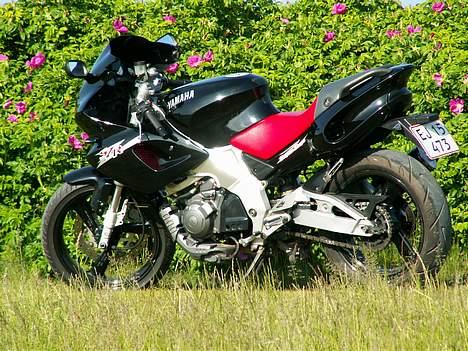 Yamaha BELGARDA SZR 660 - En tur i det grønne billede 8