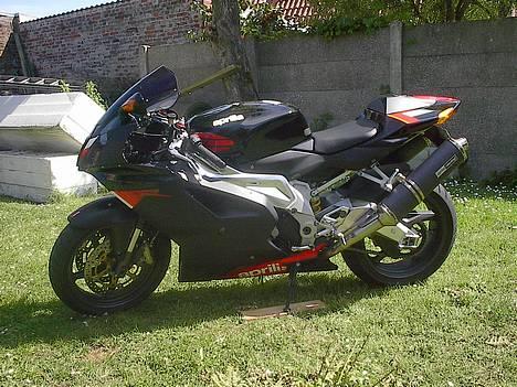 Aprilia RSV 1000R billede 1