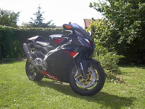 Aprilia RSV 1000R billede 2