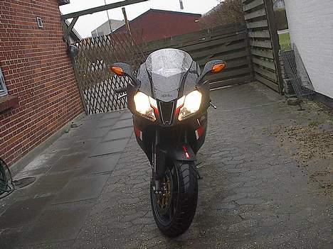 Aprilia RSV 1000R billede 4