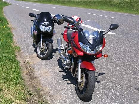 Suzuki GSF 600 Bandit S - Ude og nyde en af de få rigtige sommerdage med en af vennerne billede 3